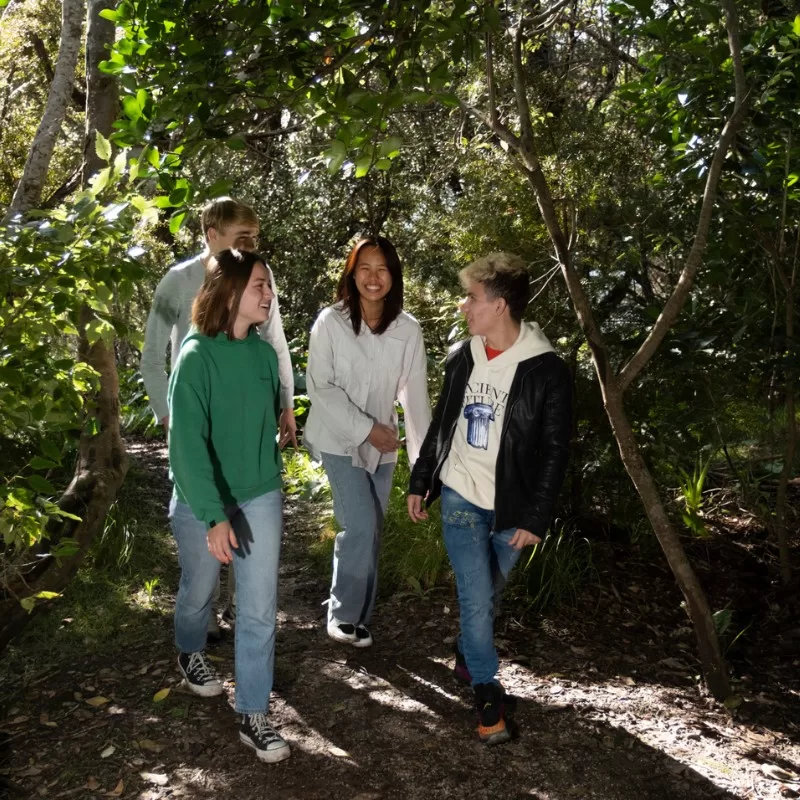 International students in Auckland walking through the bush