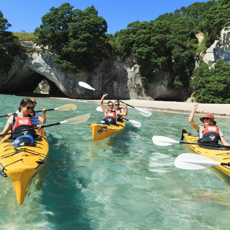 Why study in Auckland - students kayaking 