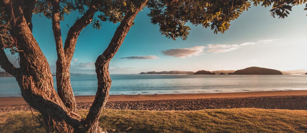 New Zealand beach