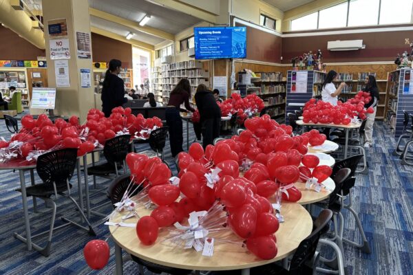 IMG_5301 IMG_5301