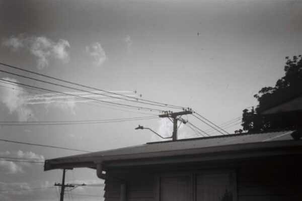 Ardmore’s Roaring 40s crew showing off - they do extra wide flyovers for the benefit of the public. They have since seen myself and my neighbours watching them, and fly directly over us as a result. This is one of my favourite photos from this camera, taken mere seconds after putting down another camera and grabbing this one!