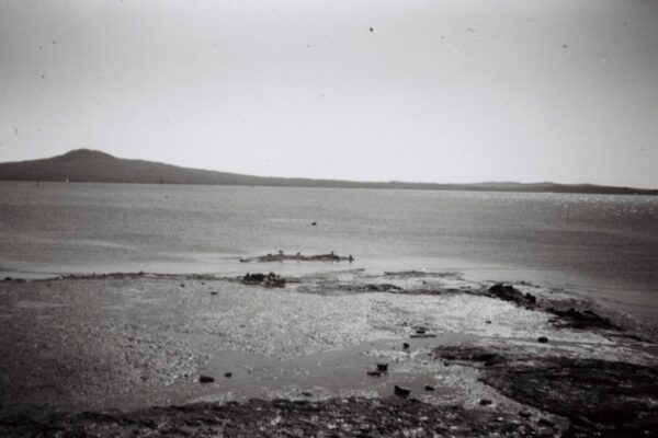 Rangitoto, with birds on the nearby rocks. The sports finder once more proved handy for this.