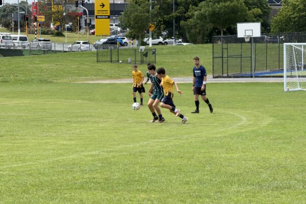 IMG_0214 IMG_0214