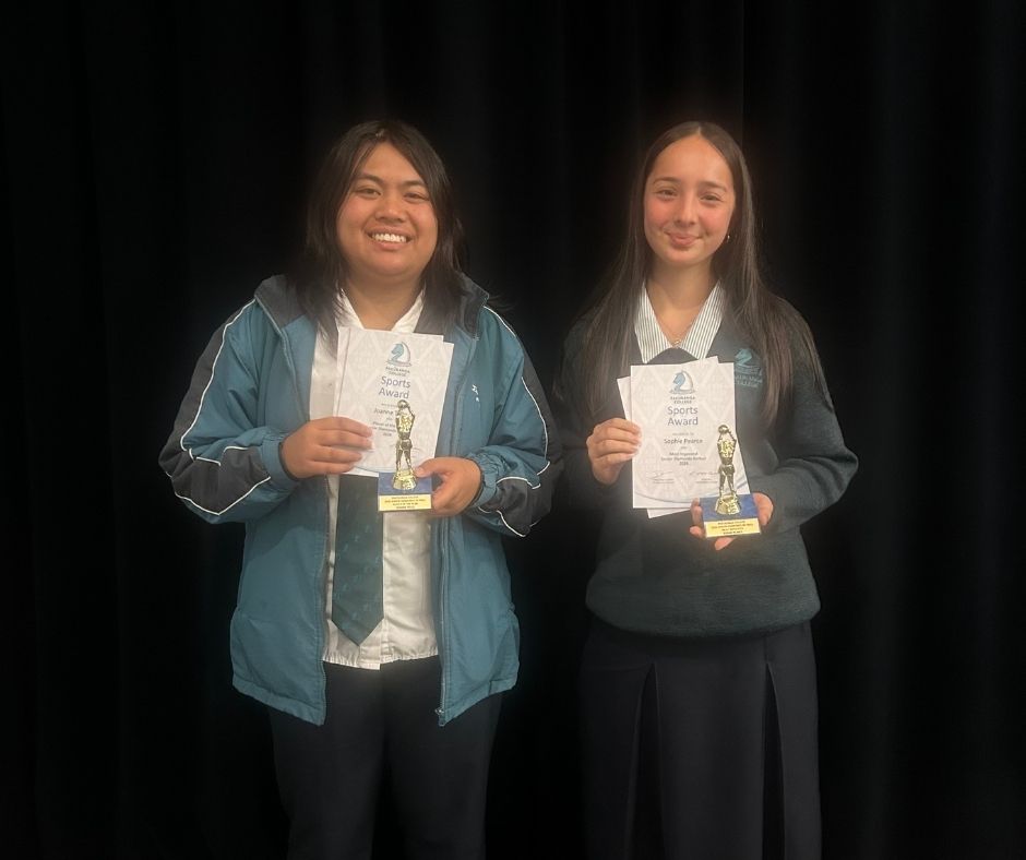 Senior Diamonds Netball Senior Diamonds Netball